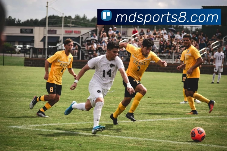 摩登体育官网服务体系